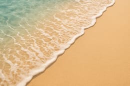 Ocean