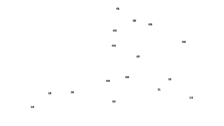 Shanghai International Circuit