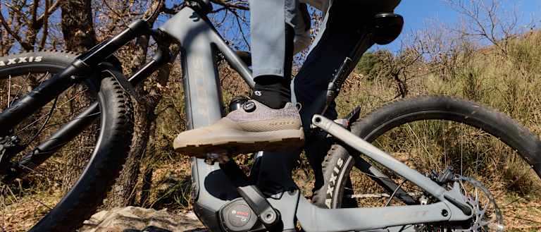 Mountain biker riding on a forest trail