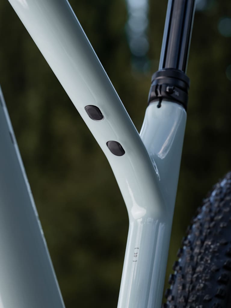 A close-up of a light blue bicycle frame with two black bolts is set against a blurred background of green trees.