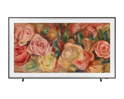 Samsung QE65LS03DAUXUA