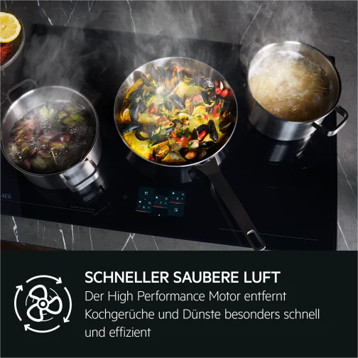 AEG DLH6961B - фото 2