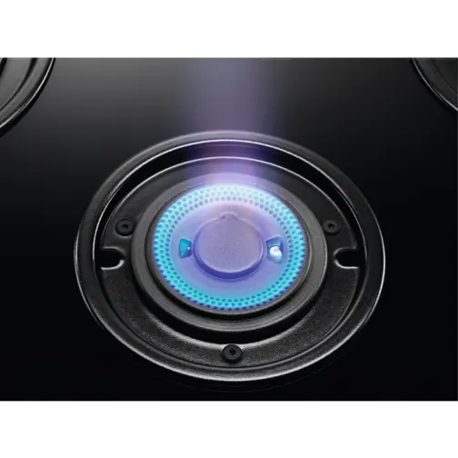 Electrolux EGT96647LW - фото 8