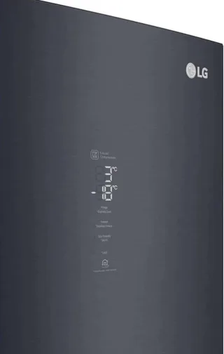 LG GBB92MCACP - фото 9