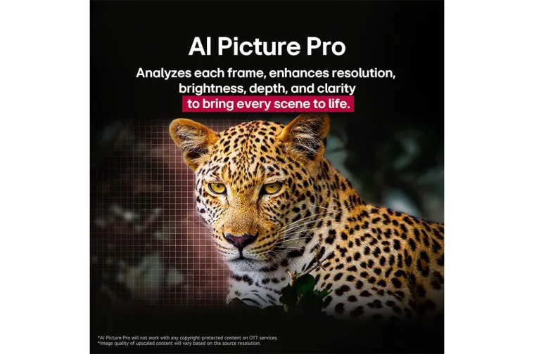 LG OLED55G51 - фото 6