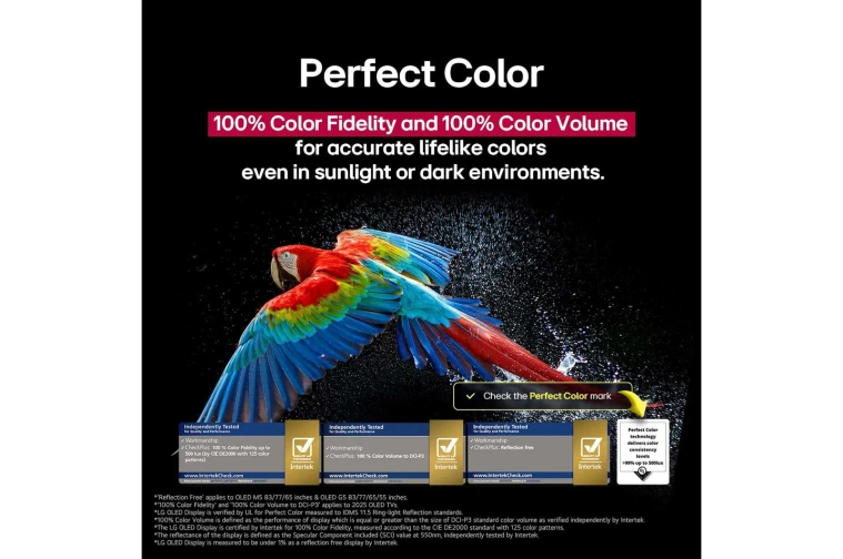 LG OLED55G54 - фото 8