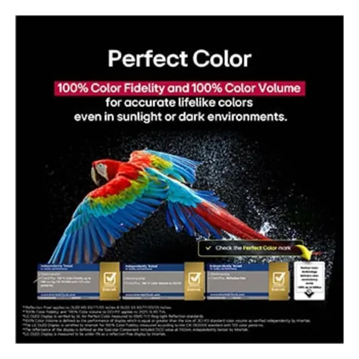 LG OLED55G54 - фото 50