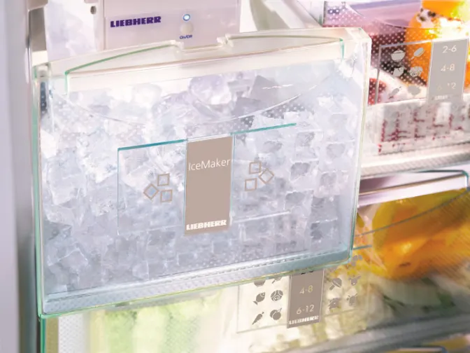 Liebherr ICBN 3366 21 - фото 29