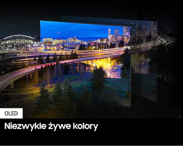 Samsung QE55S90D - фото 5