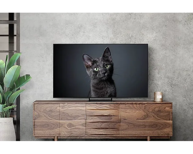 Samsung QE77S90C - фото 5