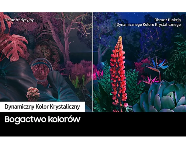 Samsung UE65CU8002 - фото 6