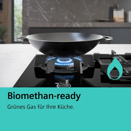 Siemens ER9A6SB70 - фото 1