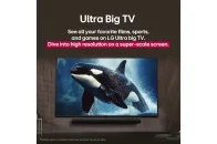 LG 43NANO81A3 - фото 12