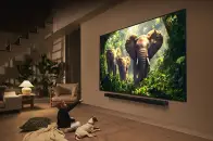 LG 50QNED86A - фото 15