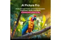 LG 65QNED86A6 - фото 8