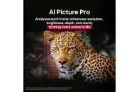 LG OLED55G51 - фото 6