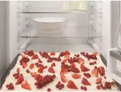 Liebherr ICNd 5123 - фото 9