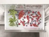 Liebherr ICNdi 5173 Peak - фото 7