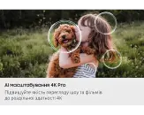 Samsung QE43QN90FAUXUA - фото 10