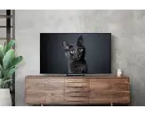 Samsung QE77S90C - фото 5