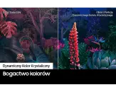 Samsung UE65CU8002 - фото 6