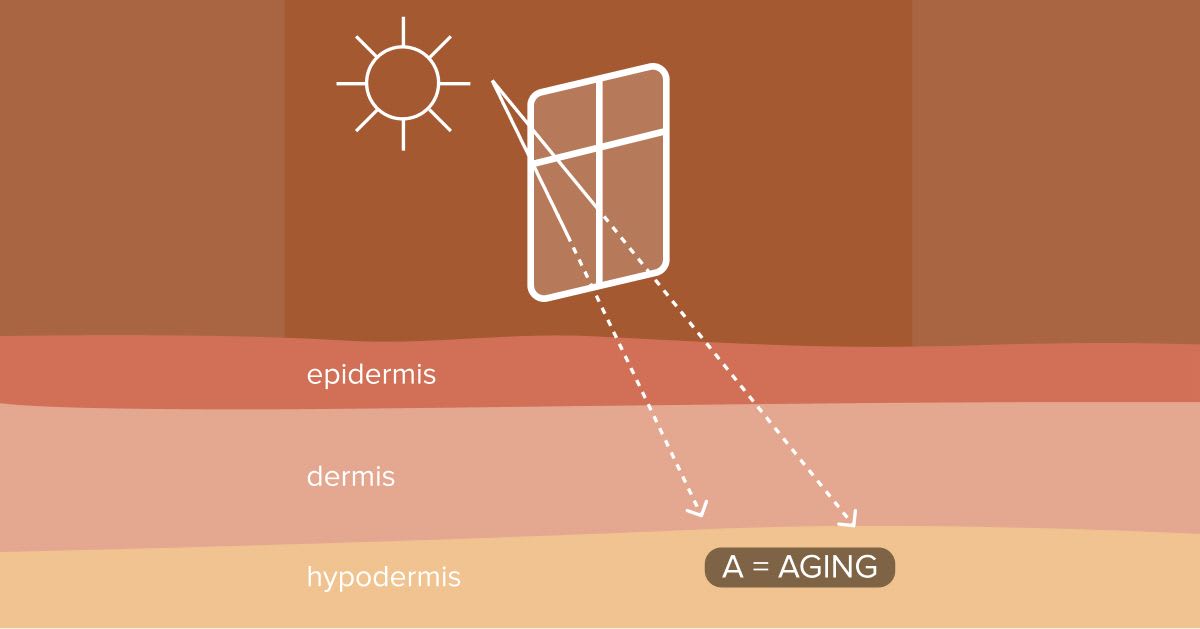 Diagram showing UVA rays passing through a window and penetrating deep into the hypodermis, labeled as the aging ray.