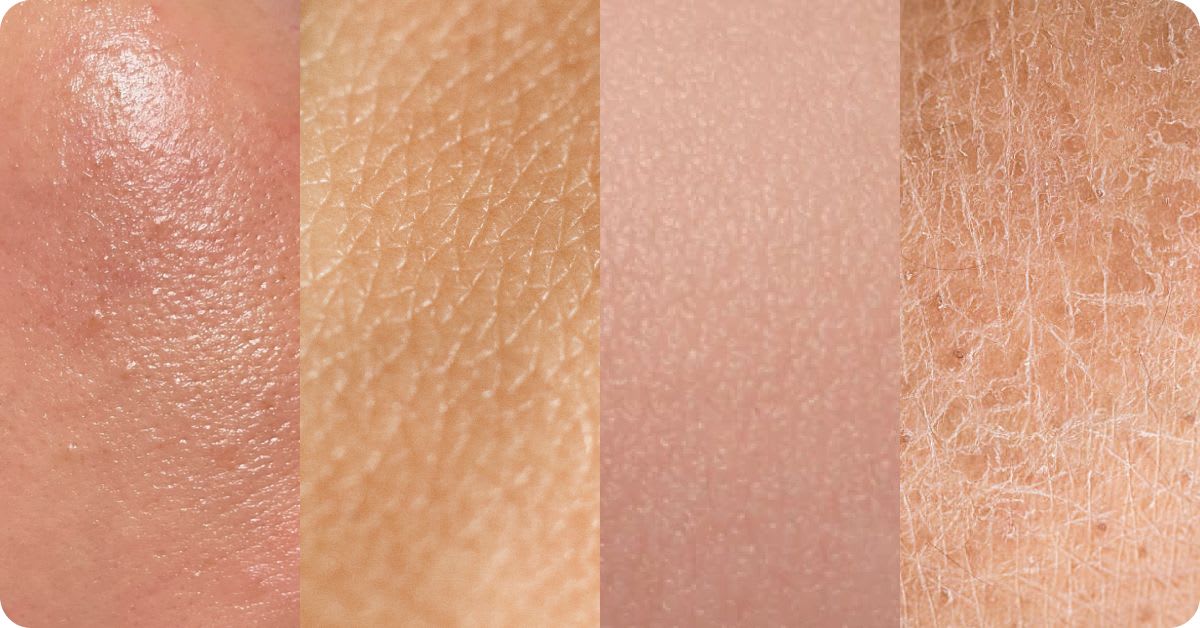 Close-up comparison of different skin textures, showing variations from smooth and hydrated to dry and rough.