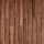 American Walnut