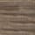 American Elm