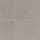 Light Gray-12X24-Matte