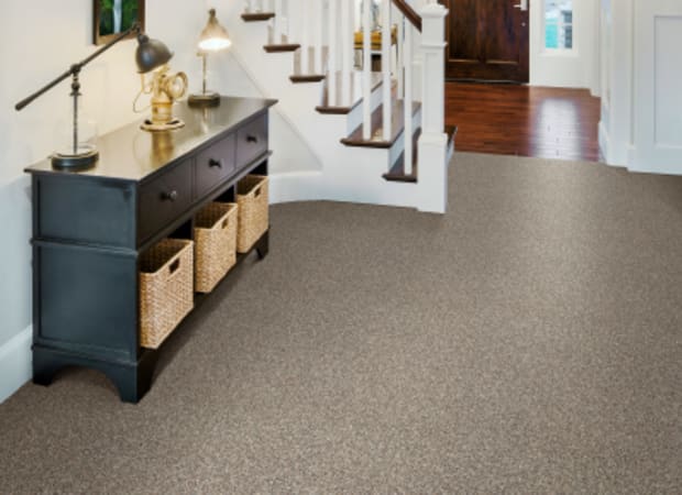 Room Scene of Divine - Carpet by Phenix Flooring