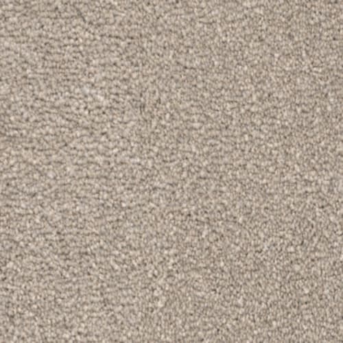 Momentum II in Rocky Shore - Carpet by Revolution Mills