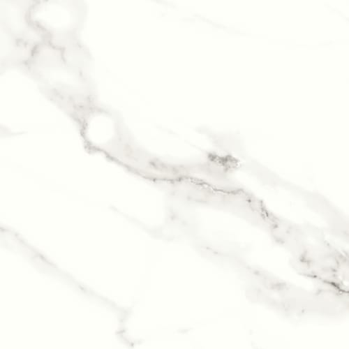 Contessa in Dama 11" X 23" Polished - Tile by Emser Tile