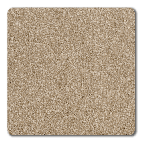 Magic Moment II in Mocha - Carpet by Revolution Mills