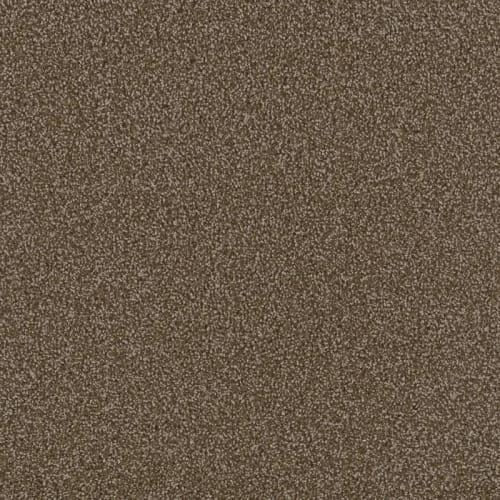 In-stock carpet in Erie, PA