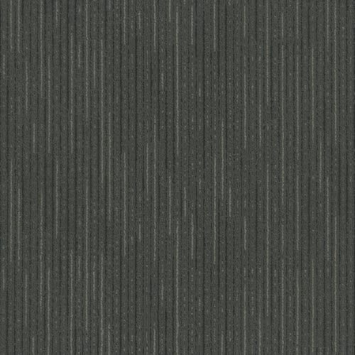 3116