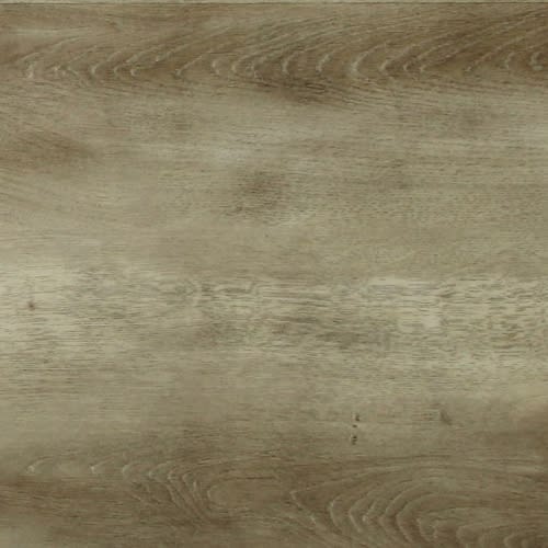 Alta Collection by Trends - Cw832db 6" X 48"