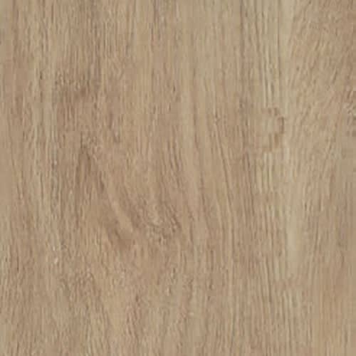 Monarch Collection by Trends - Fairbright Oak 6" X 48"