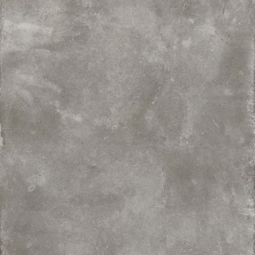 Sovereign Collection by Trends - Ruffled Dove 12" X 24"