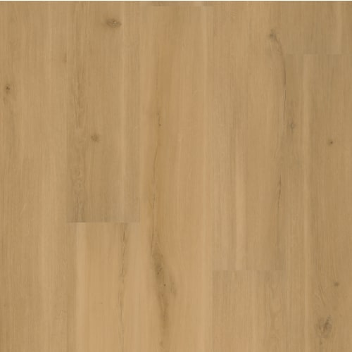Swiss Oak-Praline