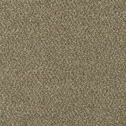 Accolade by Engineered Floors - Dwellings - Sienna Sand