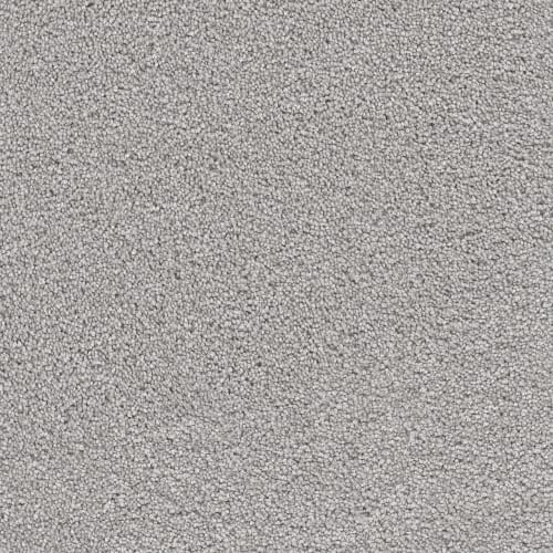 Carpet Flooring, Renopedia Wiki