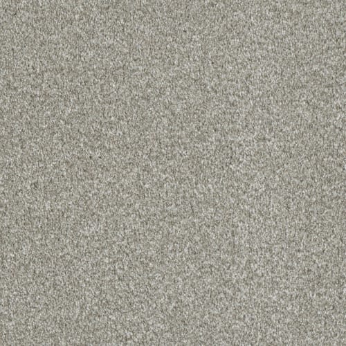 Carpet Flooring, Renopedia Wiki