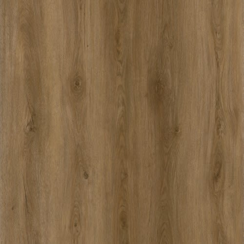 Sierra Oak