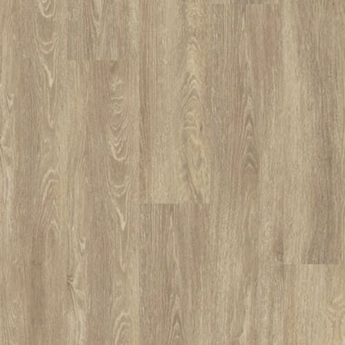 Orchid Loose Lay