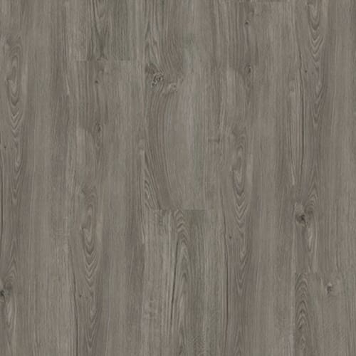 Lilac Glued