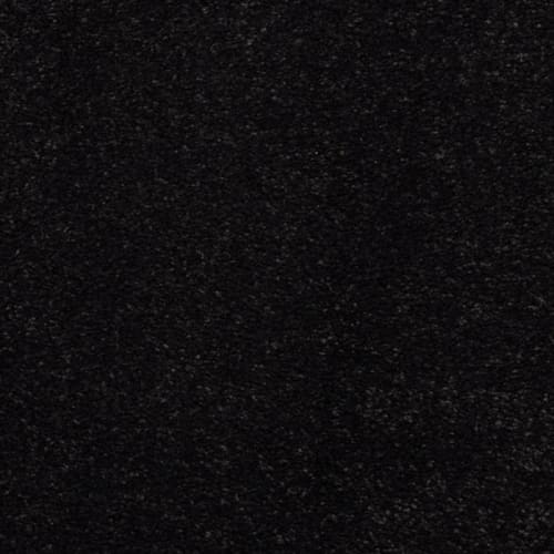 Black Bean
