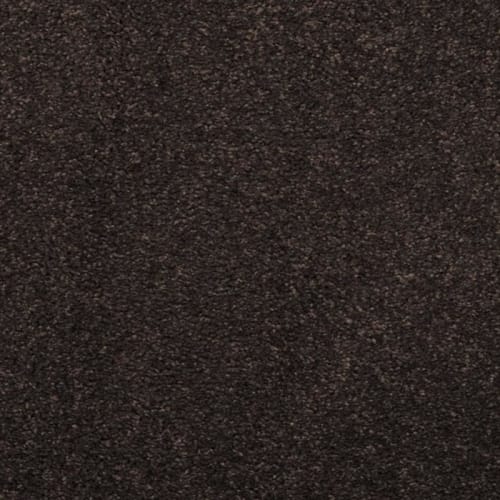 Black Olive