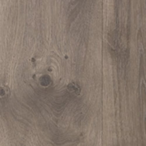 Misty Hollow Oak
