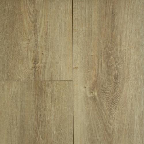 Hazel Wood